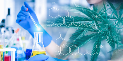 洁净技术解决方案提供商